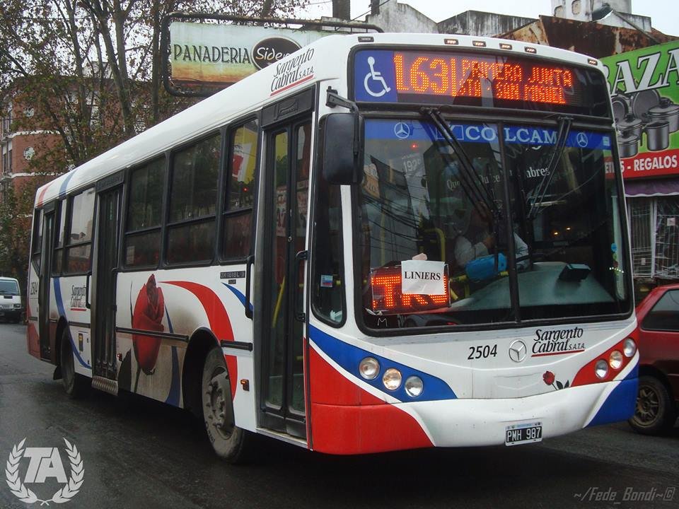 La nueva Línea 163 (Foto: Transporte Argentino)