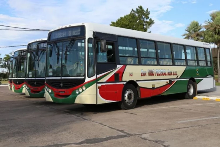 Chaco Las l neas de colectivos deber n renovar sus unidades antes