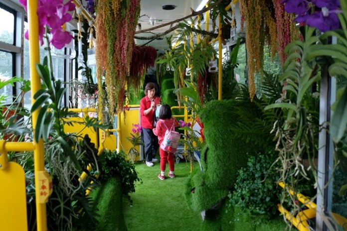 bus-taiwan-plantas