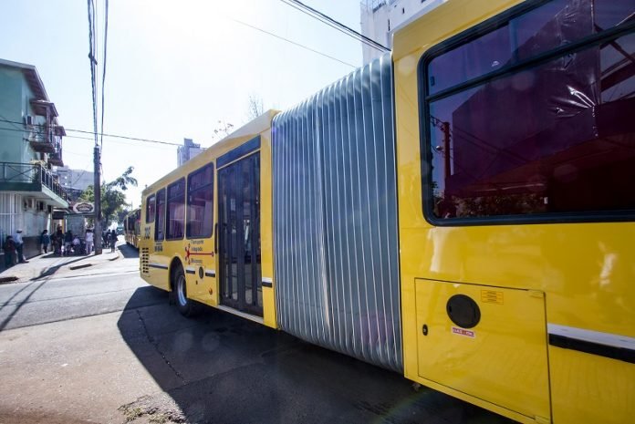 colectivos-articulados