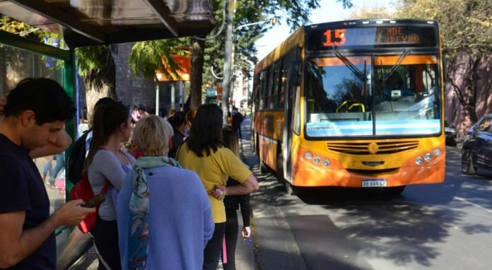 colectivo_coniferal