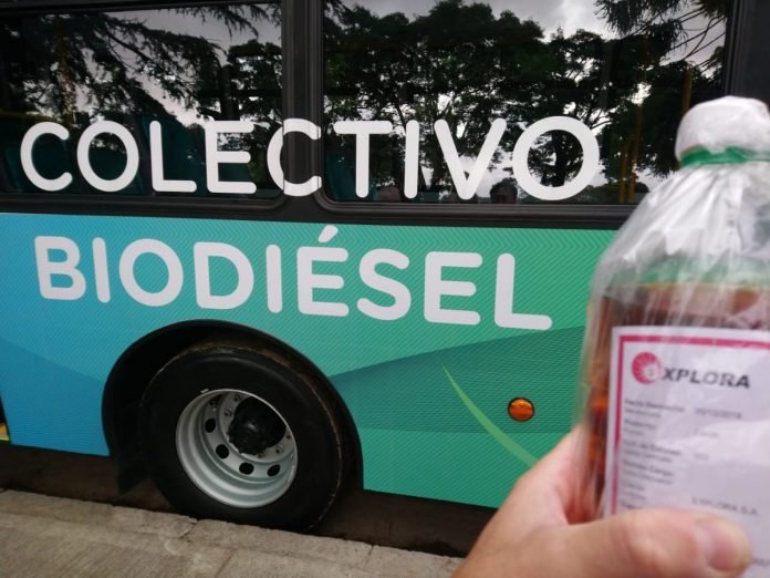 colectivos-biodiesel4