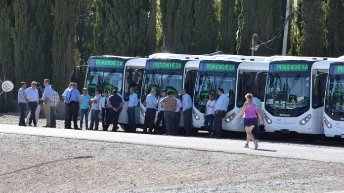 colectivos-neuquen