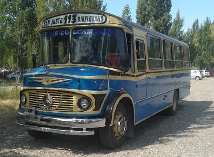 linea113
