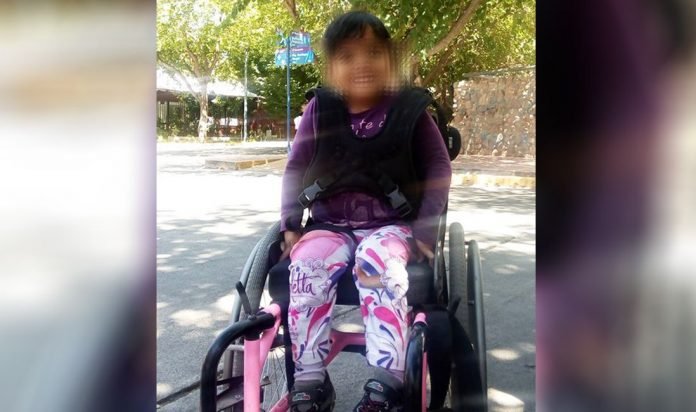 silla-colectivo