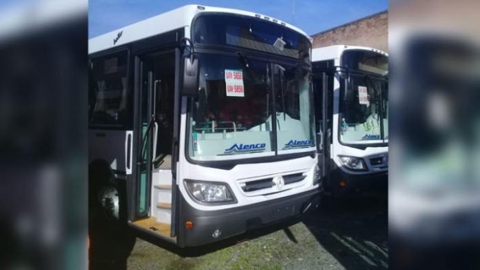 colectivos-1