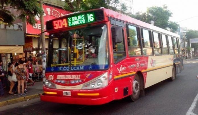 colectivo504