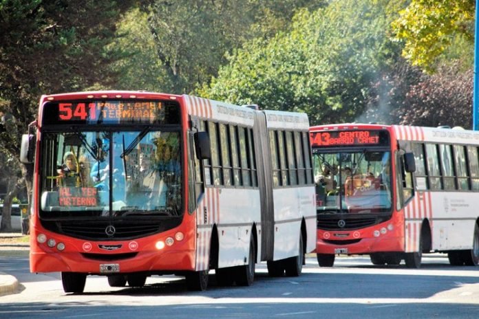 mdq-colectivo