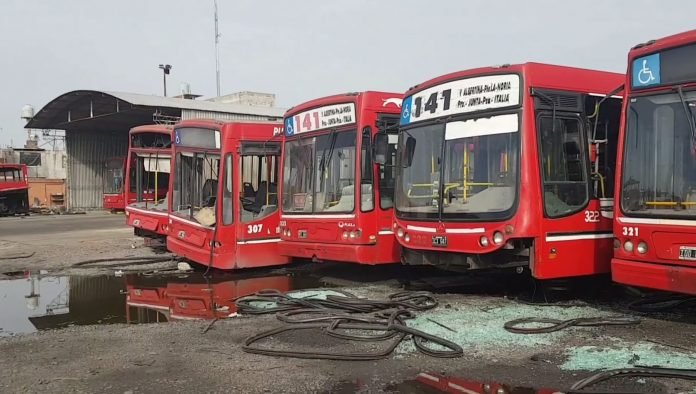 Linea-141-1