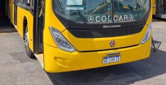 marcopolo-linea41