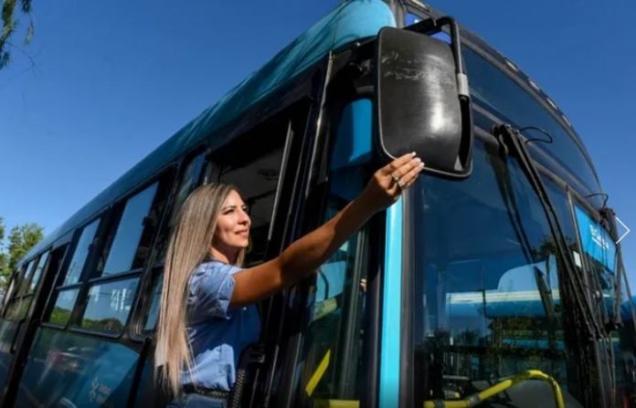 nadia-chofer-colectivo (2)